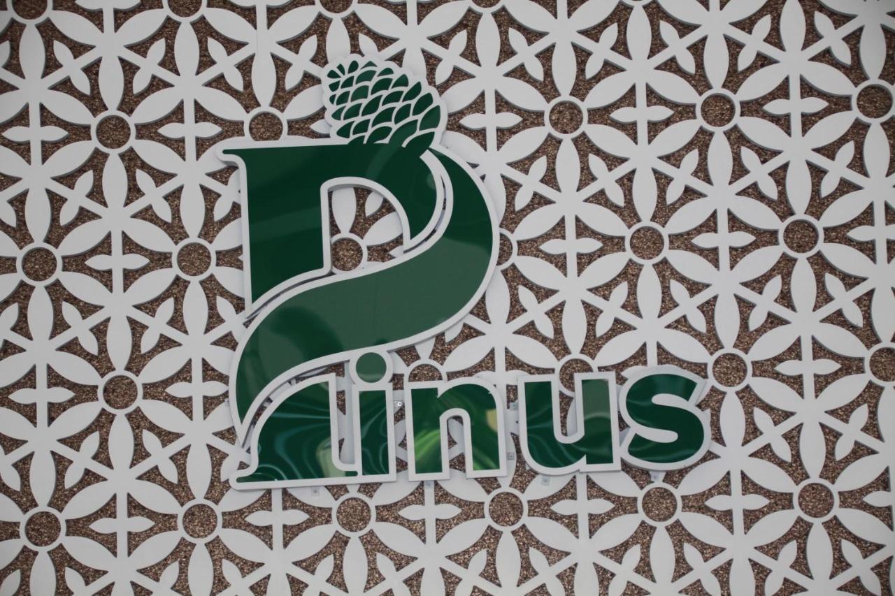 Pinus Hotel Далат Екстер'єр фото